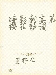 暗影刺客第4季樱花动漫封面