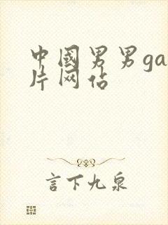 中国男男gay片网站封面