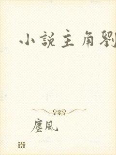 小说主角刘根来