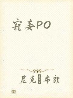 宠妾PO
