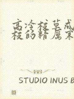 高冷校草成为全校的精厉寒小说