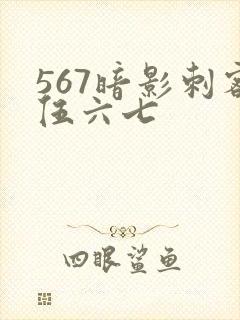 567暗影刺客伍六七