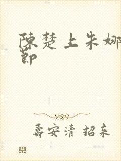 陈楚上朱娜妈章节