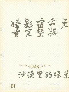 暗影宿命免费观看完整版