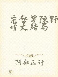 宋启星陈野苏晚晴大结局