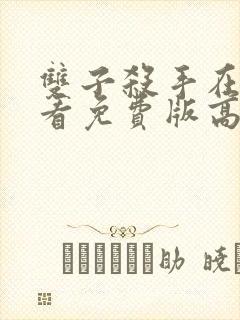 双子杀手在线观看免费版高清封面