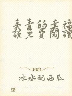 秦青的幸福的小说免费阅读无弹窗