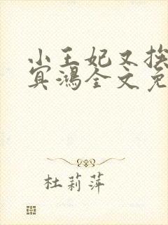 小王妃又挨揍了冥鸿全文免费阅读封面