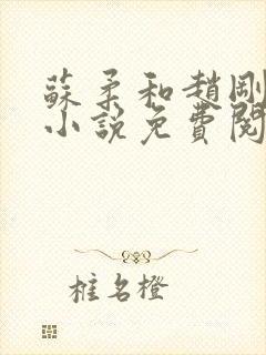 苏柔和赵刚林风小说免费阅读