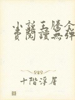 小说王腾全文免费阅读无弹窗