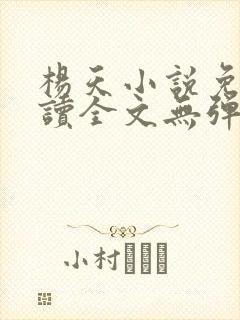 杨天小说免费阅读全文无弹窗封面