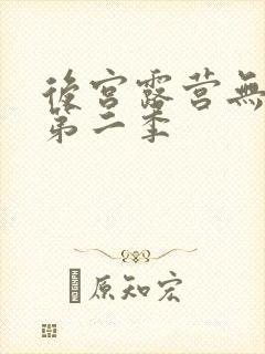 后宫露营无删减第二季