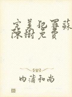 完美犯罪苏小小陈树免费