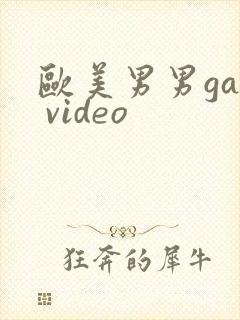 欧美男男gay video