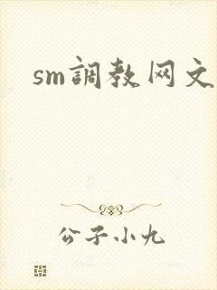 sm调教网文封面
