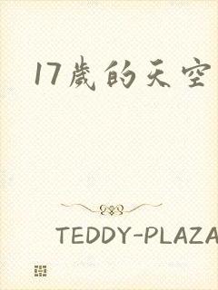 17岁的天空