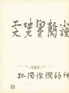 工地狗奴小说全文免费阅读