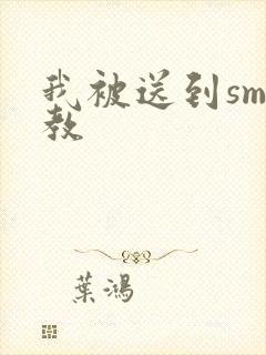 我被送到sm调教