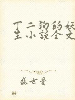 丁二狗的妖孽人生小说全文无删减