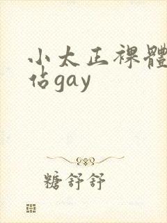 小太正裸体黄网站gay