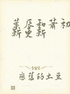 叶辰和萧初然最新更新封面