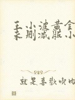 王小波黄金时代未删减版小说下载