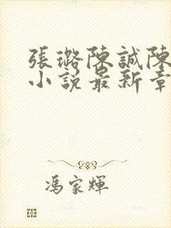 张璐陈诚陈梦的小说最新章节