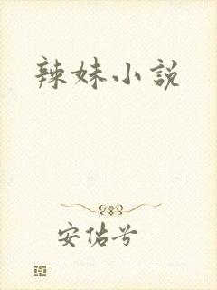 辣妹小说