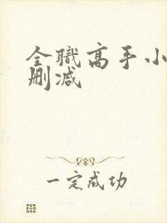 全职高手小说无删减