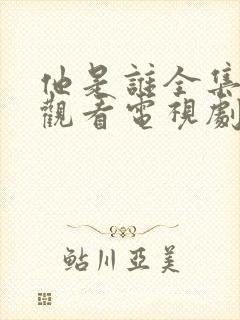 他是谁全集免费观看电视剧高清