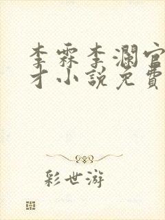 李霖李澜官场奇才小说免费阅读封面