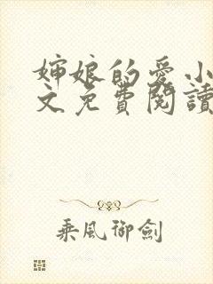 婶娘的爱小说全文免费阅读封面