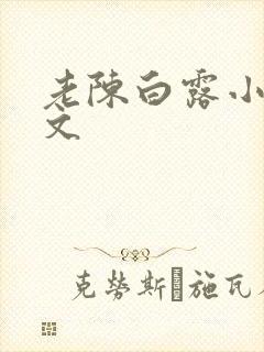 老陈白露小说全文封面