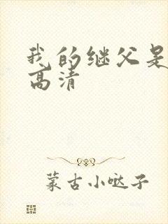 我的继父是偶像高清