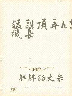 猛烈顶弄h禁欲机长