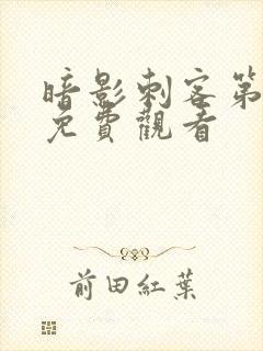 暗影刺客第四季免费观看