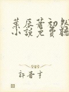 叶辰萧初然有声小说免费听