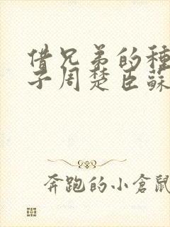 借兄弟的种生孩子周楚臣苏糖