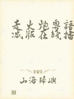 走火炮粤语未删减版在线播放