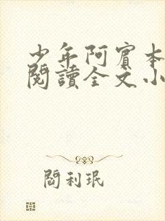 少年阿宾本全文阅读全文小说