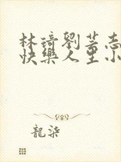 林琦刘芸志刚的快乐人生小说笔趣阁