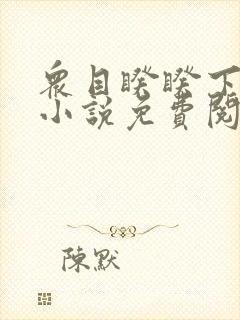 众目睽睽下的事小说免费阅读笔趣阁