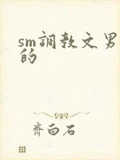 sm调教文男男的