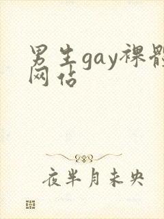 男生gay裸体网站封面