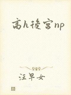 高h后宫np