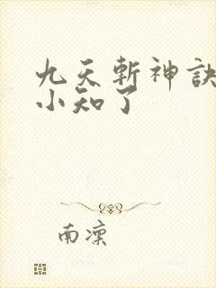 九天斩神诀作者小知了