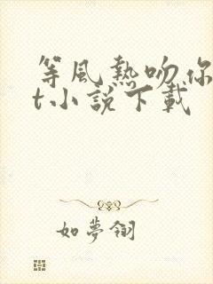 等风热吻你txt小说下载