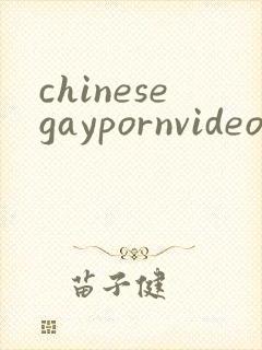 chinesegaypornvideo