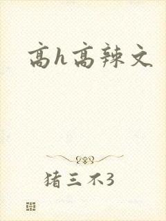 高h高辣文
