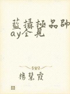 蓝摄极品帅男gay全见